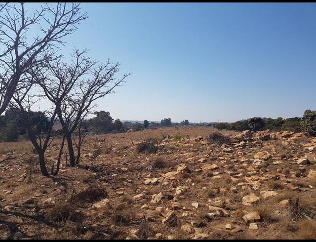 52,000M² SMALLHOLDING FOR SALE IN DONKERHOEK AH